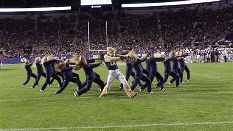 Dance routine by the byu mascot